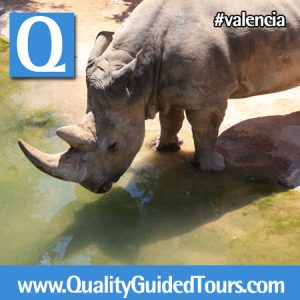 Valencia zoo: Bioparc, Valencia bikes