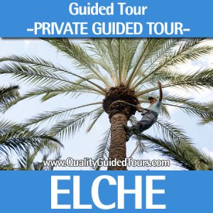 Elche, 4 hours private guided tour, Elche "Palm tree groove"