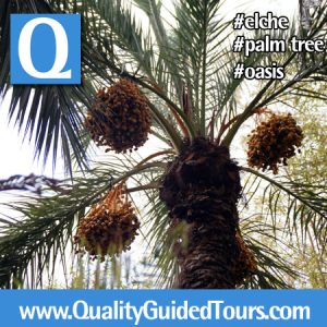 elche guided tour palm tree oasis huerto del cura priest garden dama (1), Elche 4 hours private shore excursions guided tour