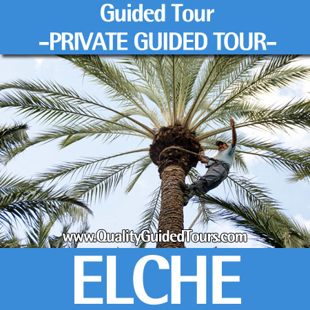 Elche, 4 hours private guided tour